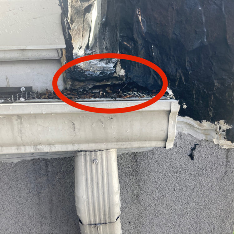 Roof gutter with damage circled showing a leak